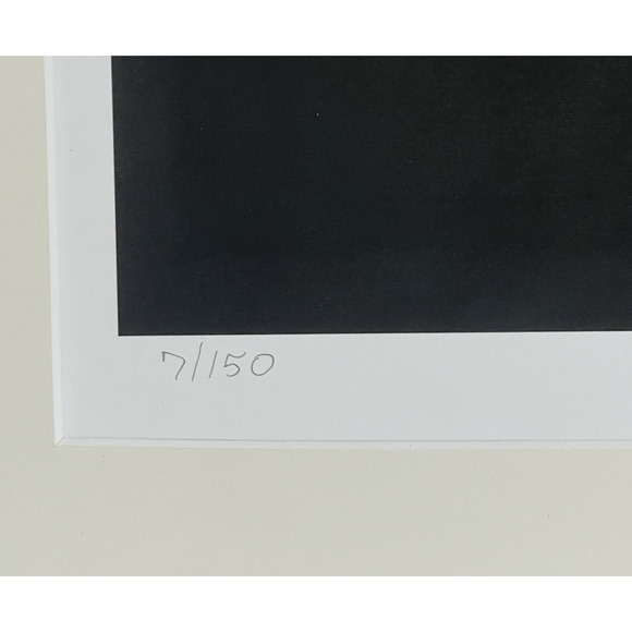 Hummingbirds Delight Giclee Matted Art Print Signed Kathleen Kirch 7/150 Beauty - Picture 9 of 9